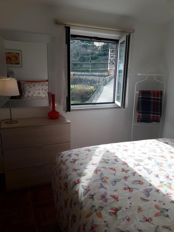 Appartement A Look Into The River à Avô Extérieur photo